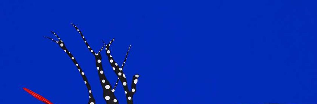 Dan Afrike 2025: Interdisciplinarni premislek o naravnih virih Afrike v luči ustvarjalnosti