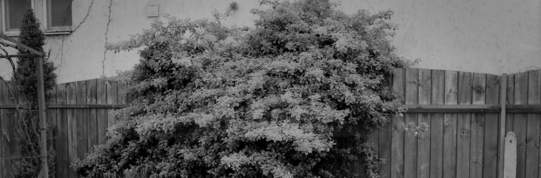 DRUGAČNI SVETOVI 2025