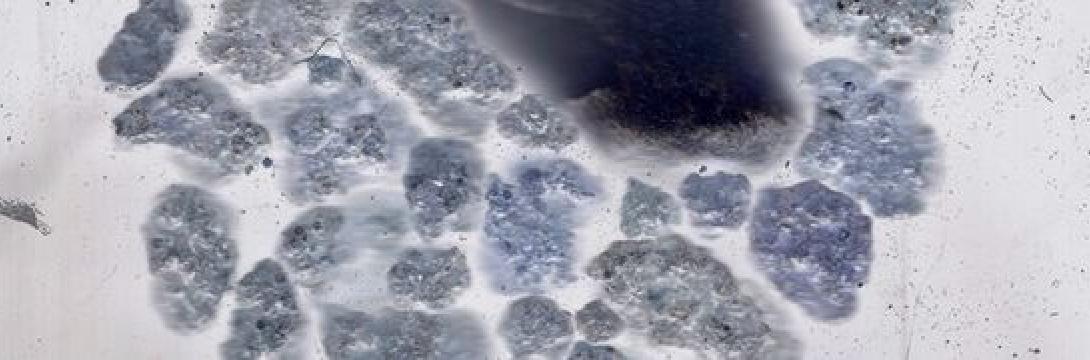 Rosa. Zemlja ∞ Kozmos