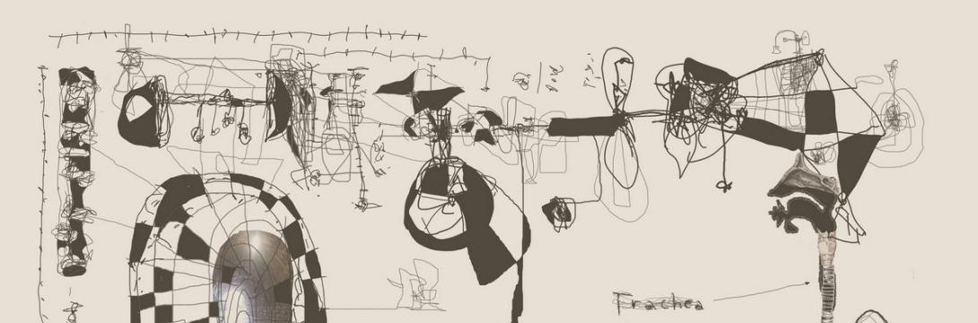 Enej Gala in Tomi Novak: Trachea