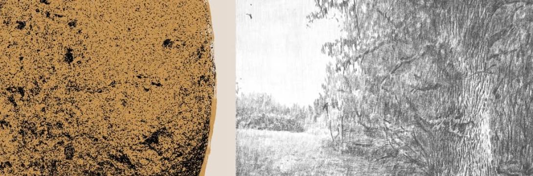 Naslovna podoba: Agate Lielpētere, Laimdota / 36 x 51 cm; Sitotisk na papirju; 2024 Luīze Rukšāne, Risba o psu, savni in hrastu / 120 x 100 cm; Grafit in oglje na platnu; 2024