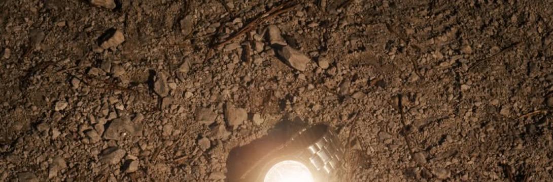 Naslovna podoba: Blaž Gutman