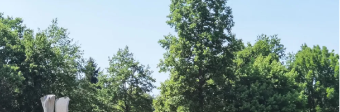 Zaključek Mednarodnega simpozija kiparjev Forma viva 2025