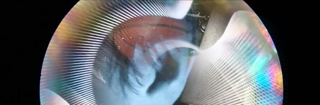 Naslovna podoba: Senem Pirler & Monica Duncan, Solze za izgubljene frekvence