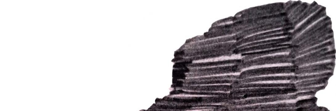 Naslovna podoba: Uroš Potočnik