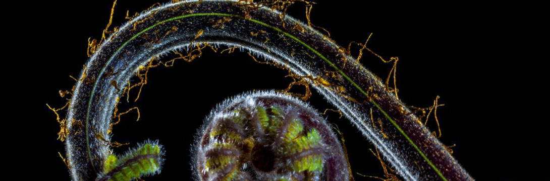 TTT2025 / TTT2025/ TABU – TRANSGRESIJA – TRANSCENDENCA v umetnosti in znanosti