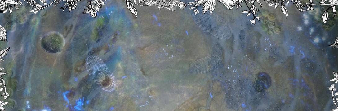 Naslovna podoba: Kaja Horvat