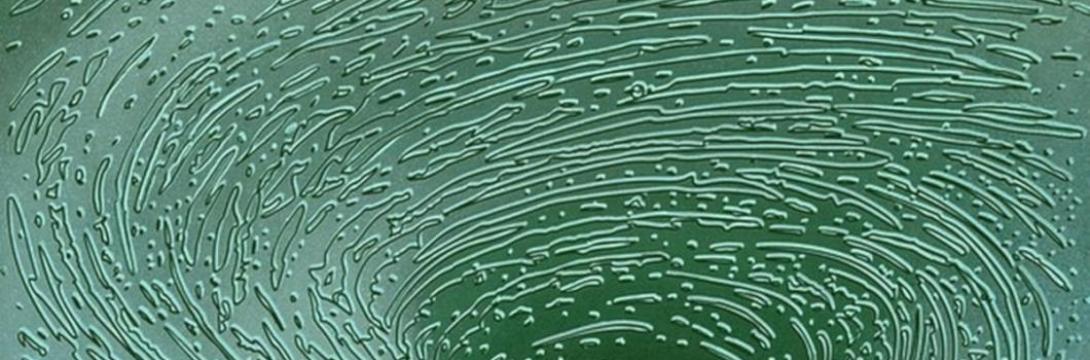 Jasna Samarin: Tihi tokovi