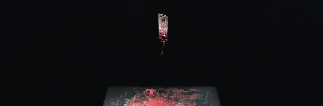 Performativna forenzika