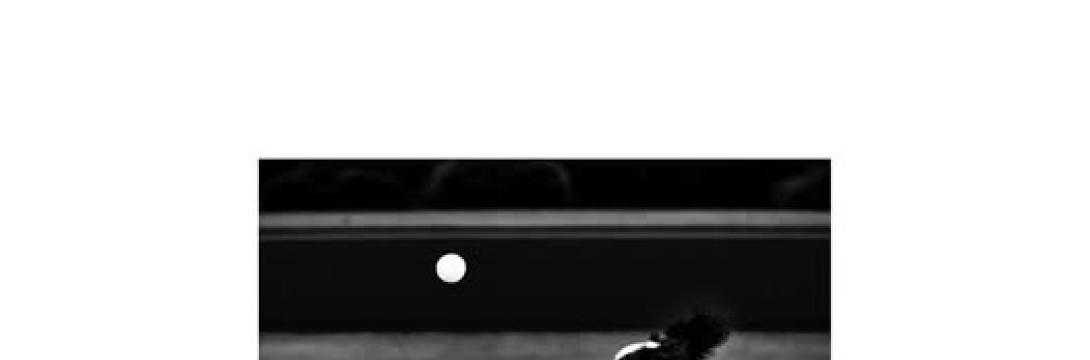 Rudi Uran: Animalija- med masko in instinktom