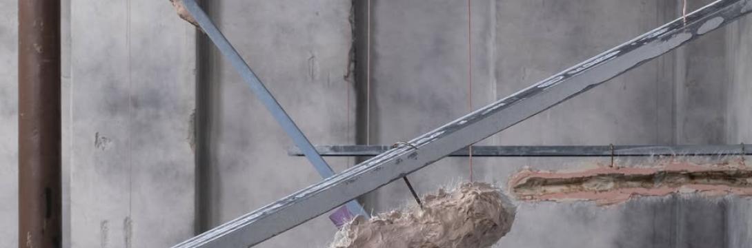 Naslovna podoba: Tine Lisjak