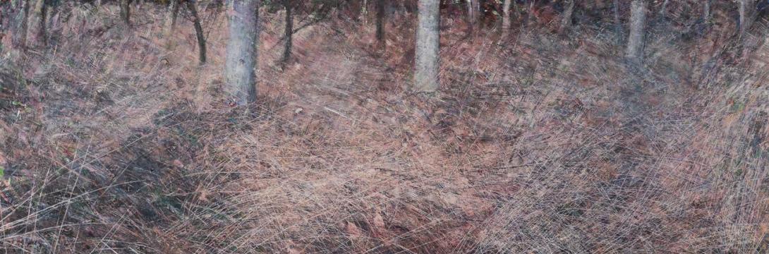 Joni: Bosonogi poklon