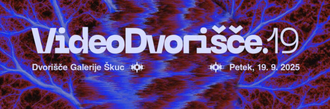 Naslovna podoba: Brina Vidic