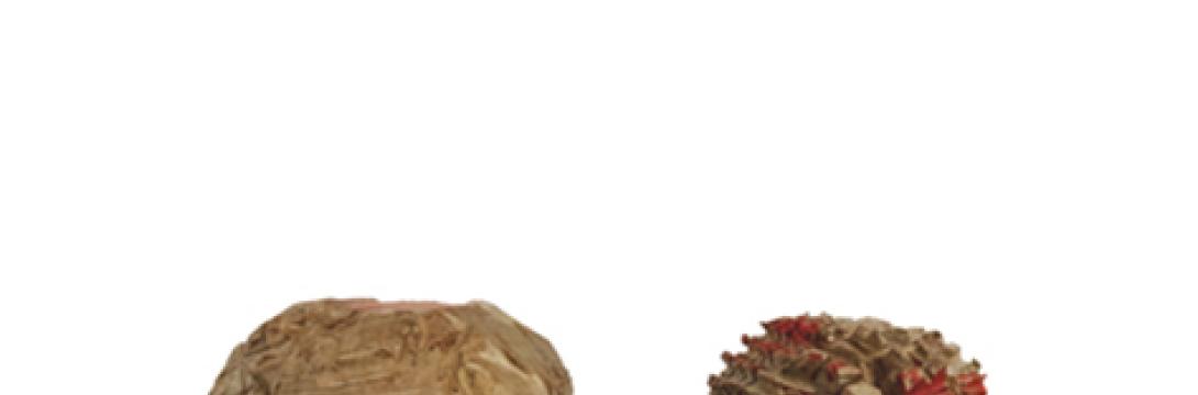 Nina Tovornik: Brezmiselje