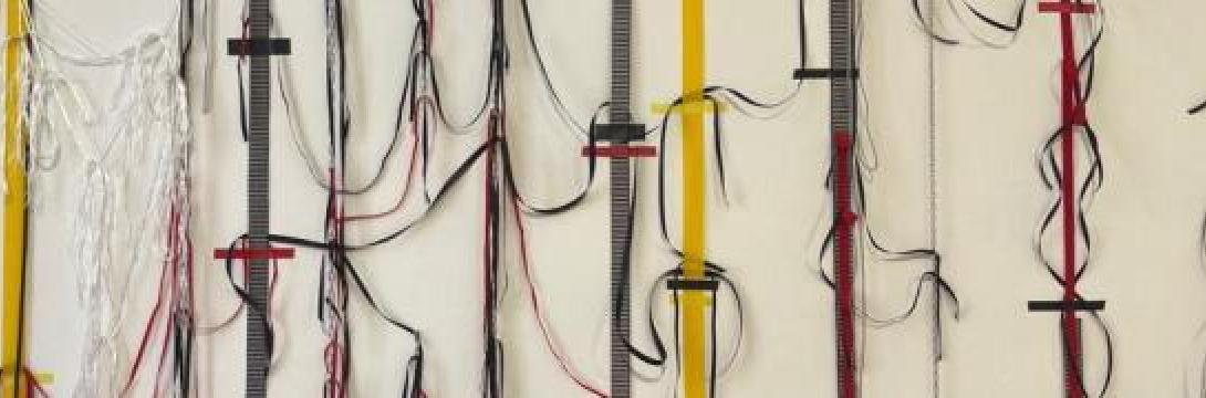 Polona Maher: Vrvež