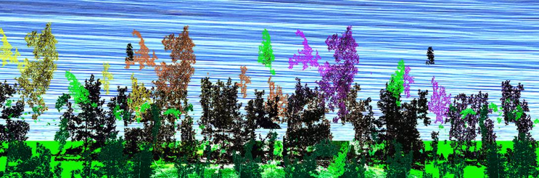 AVANTI GRAFIKA! petič