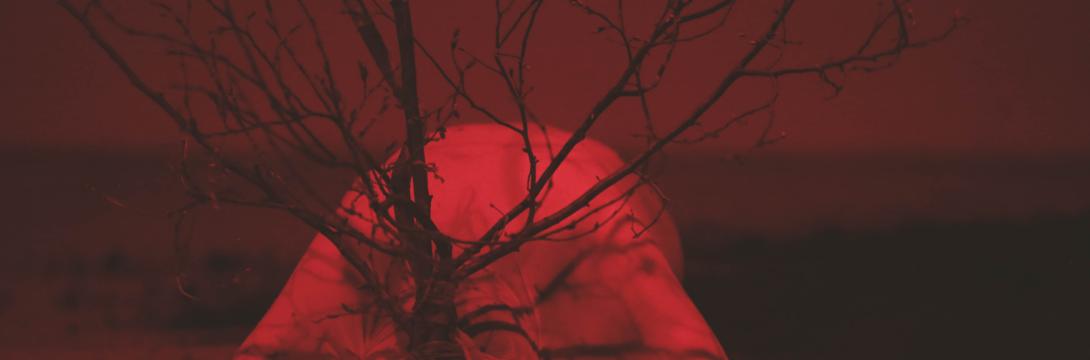 Lučka Centa: ved'ma