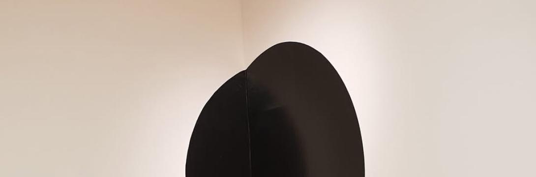 Dragan Vojvodić: Sound(less)/(Brez)zvočno