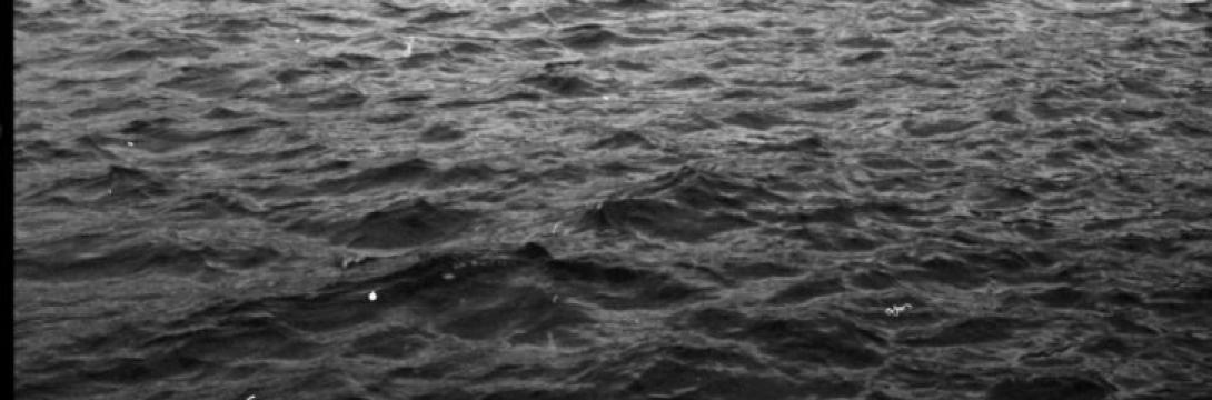 Tereza Kozinc: Kako fotografirati veter?