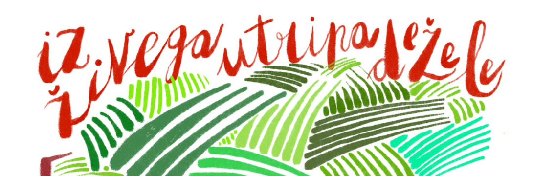 Cikel: Iz živega utripa dežele