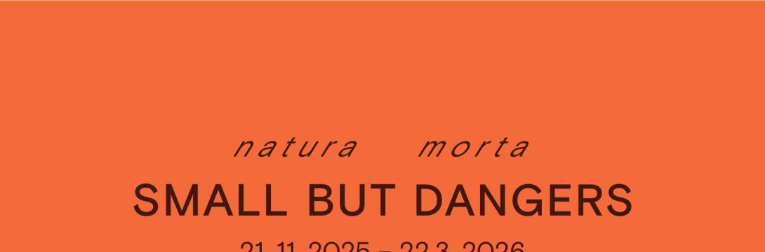 Small but dangers: Natura morta