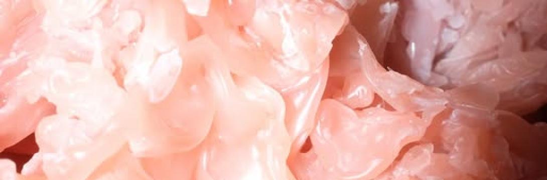 Urška Preis: Fire, Water, Earth, Pain