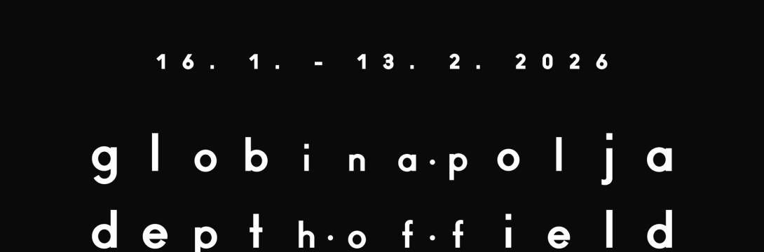 Christoph Grill: Globina polja