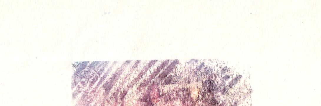 Špela Ambrož: Vijolice