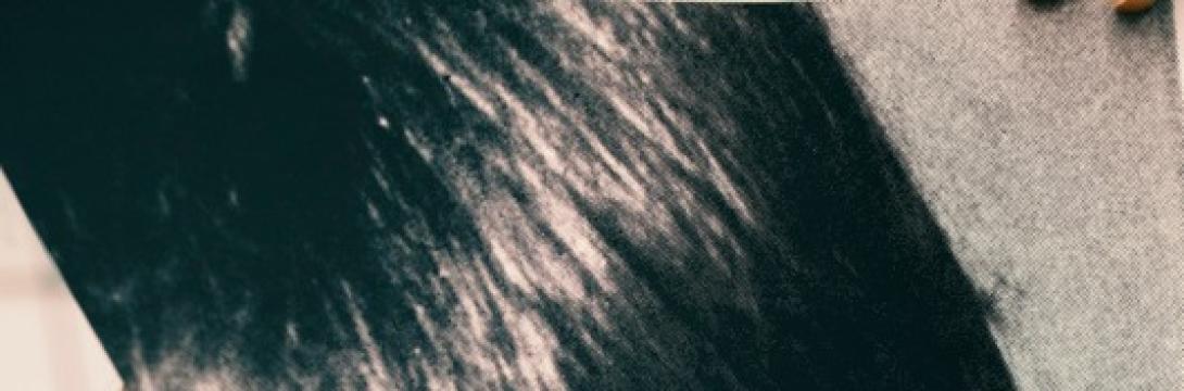 Med portretom in odtisom