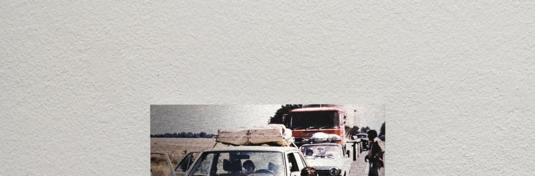 Aylin Leipold: Weiter