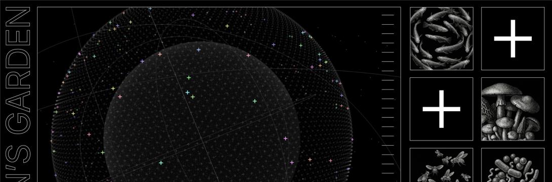 Dorotea Dolinšek: Dyson’s Garden