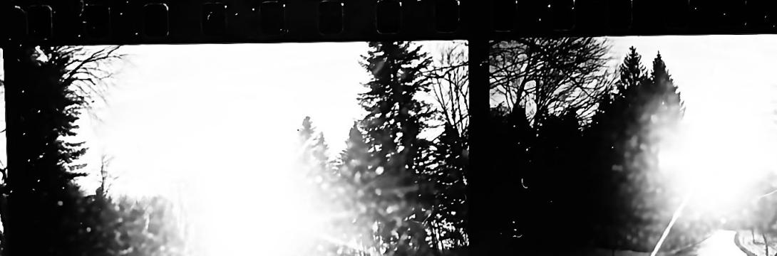 Klavdij Sluban: Peglezen in bič