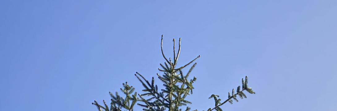 Lucija Rosc: Vozi počasi