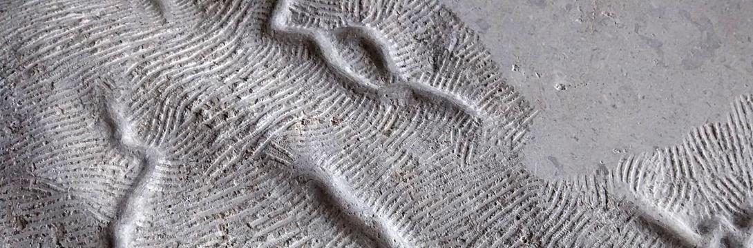 Sibila Leskovec in Špele Šedivy: Celota