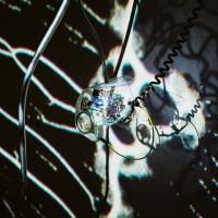 Svetlobna gverila 2025: Motnja