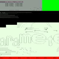 Adela: Parameter 2025