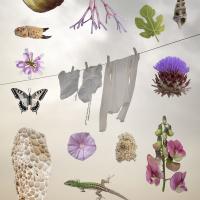 Cona udobja: Prikazi naklonjenosti