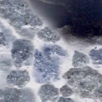 Rosa. Zemlja ∞ Kozmos