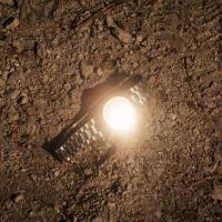 Naslovna podoba: Blaž Gutman