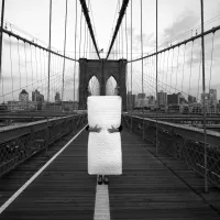 Bojana Janjić, arhiv MSUB