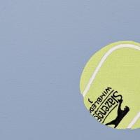 Naslovna podoba: Nina Čelhar, Teniška žogica (Izguba), 2025