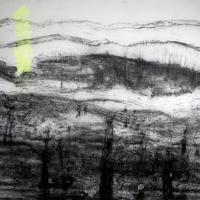 Herman Gvardjančič: Sloveneae 22: Kras