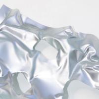 Naslovna podoba: Sara Rman, Keep the Form Burning, 2025