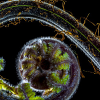 TTT2025 / TTT2025/ TABU – TRANSGRESIJA – TRANSCENDENCA v umetnosti in znanosti