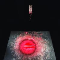 Performativna forenzika