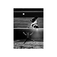 Rudi Uran: Animalija- med masko in instinktom