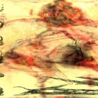 Samra Buljić: Asimilacija dovršena: Avtokatalitična replikacija oblike