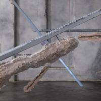 Naslovna podoba: Tine Lisjak