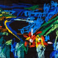 Nuša Lapajne: Koordinate