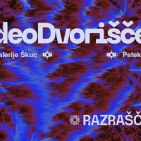 Naslovna podoba: Brina Vidic